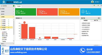 鼎軟天下信息公司 濱州企業(yè)如何選擇優(yōu)秀的倉庫管理系統(tǒng)與信息系統(tǒng)集成服務(wù)